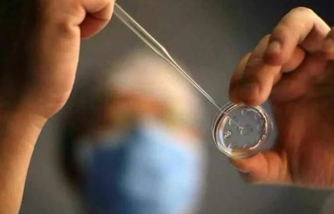 深圳试管试管代怀有什么风险〗深圳试管试管代怀的风险解析
